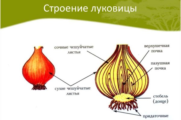 Ссылки кракен телеграф